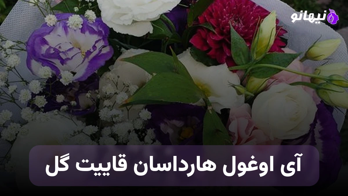 دانلود آهنگ آی اوغول هارداسان قاییت گل ترکی